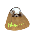 らんみう（個別スタンプ：8）