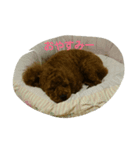 ノノコまん（個別スタンプ：4）