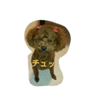 ノノコまん（個別スタンプ：5）