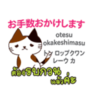 朝昼夜の猫日本語タイ語（個別スタンプ：3）