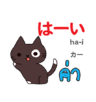 朝昼夜の猫日本語タイ語（個別スタンプ：4）