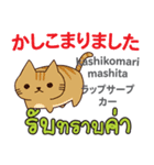 朝昼夜の猫日本語タイ語（個別スタンプ：6）