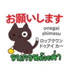 朝昼夜の猫日本語タイ語（個別スタンプ：8）