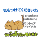 朝昼夜の猫日本語タイ語（個別スタンプ：10）