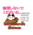 朝昼夜の猫日本語タイ語（個別スタンプ：11）