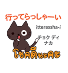 朝昼夜の猫日本語タイ語（個別スタンプ：12）