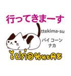 朝昼夜の猫日本語タイ語（個別スタンプ：13）