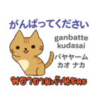 朝昼夜の猫日本語タイ語（個別スタンプ：14）