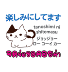 朝昼夜の猫日本語タイ語（個別スタンプ：17）