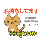 朝昼夜の猫日本語タイ語（個別スタンプ：18）