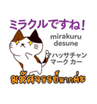 朝昼夜の猫日本語タイ語（個別スタンプ：23）