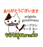 朝昼夜の猫日本語タイ語（個別スタンプ：29）