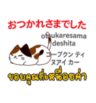 朝昼夜の猫日本語タイ語（個別スタンプ：35）