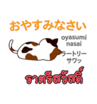 朝昼夜の猫日本語タイ語（個別スタンプ：39）