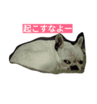 フレブル風助スタンプ2（個別スタンプ：14）