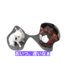 フレブル風助スタンプ2（個別スタンプ：21）