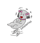 Namwan Shi Tzu Poodle（個別スタンプ：4）