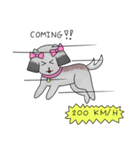 Namwan Shi Tzu Poodle（個別スタンプ：5）