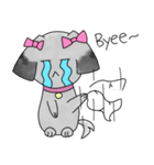 Namwan Shi Tzu Poodle（個別スタンプ：16）