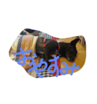 日常の用語（個別スタンプ：7）
