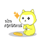 Kolly Cat V.1（個別スタンプ：20）