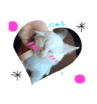 あいどる♡ゆきたん（個別スタンプ：1）