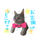 あいどる♡ゆきたん（個別スタンプ：5）