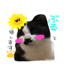 あいどる♡ぶるたん（個別スタンプ：2）