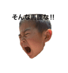 羽三兄弟（個別スタンプ：12）