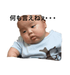 羽三兄弟（個別スタンプ：15）