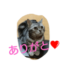 まいたん2（個別スタンプ：10）