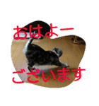 まいたん2（個別スタンプ：14）