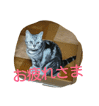 まいたん2（個別スタンプ：17）
