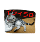 まいたん2（個別スタンプ：29）