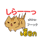 セクシーな猫日本語タイ語（個別スタンプ：2）