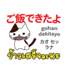 セクシーな猫日本語タイ語（個別スタンプ：5）