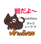 セクシーな猫日本語タイ語（個別スタンプ：8）