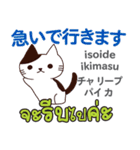 セクシーな猫日本語タイ語（個別スタンプ：13）