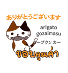 セクシーな猫日本語タイ語（個別スタンプ：15）