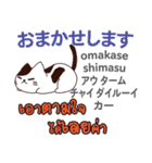 セクシーな猫日本語タイ語（個別スタンプ：17）