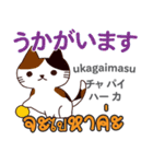 セクシーな猫日本語タイ語（個別スタンプ：27）