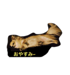 こうめちゃん（個別スタンプ：2）