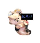 こうめちゃん（個別スタンプ：3）