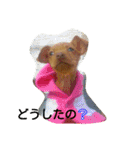 癒しのペット（個別スタンプ：8）