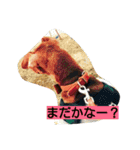 癒しのペット（個別スタンプ：14）