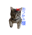 アリザの日常。（個別スタンプ：4）