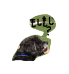 雑種のキモチ（個別スタンプ：5）