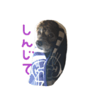 雑種のキモチ（個別スタンプ：8）