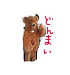 雑種のキモチ（個別スタンプ：30）