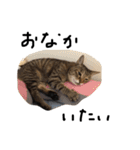 コスとティッティ（個別スタンプ：8）
